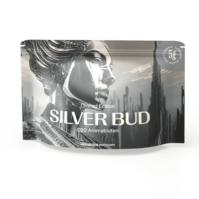mockup-5g-silver-bud-aktuelle-ansicht