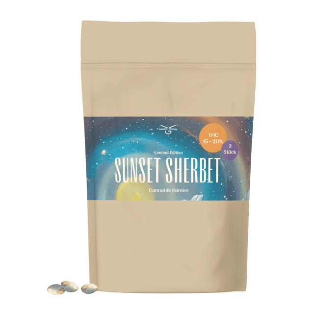 Produkt (2): Bild 2: Sunset Sherbet Cannabis Samen