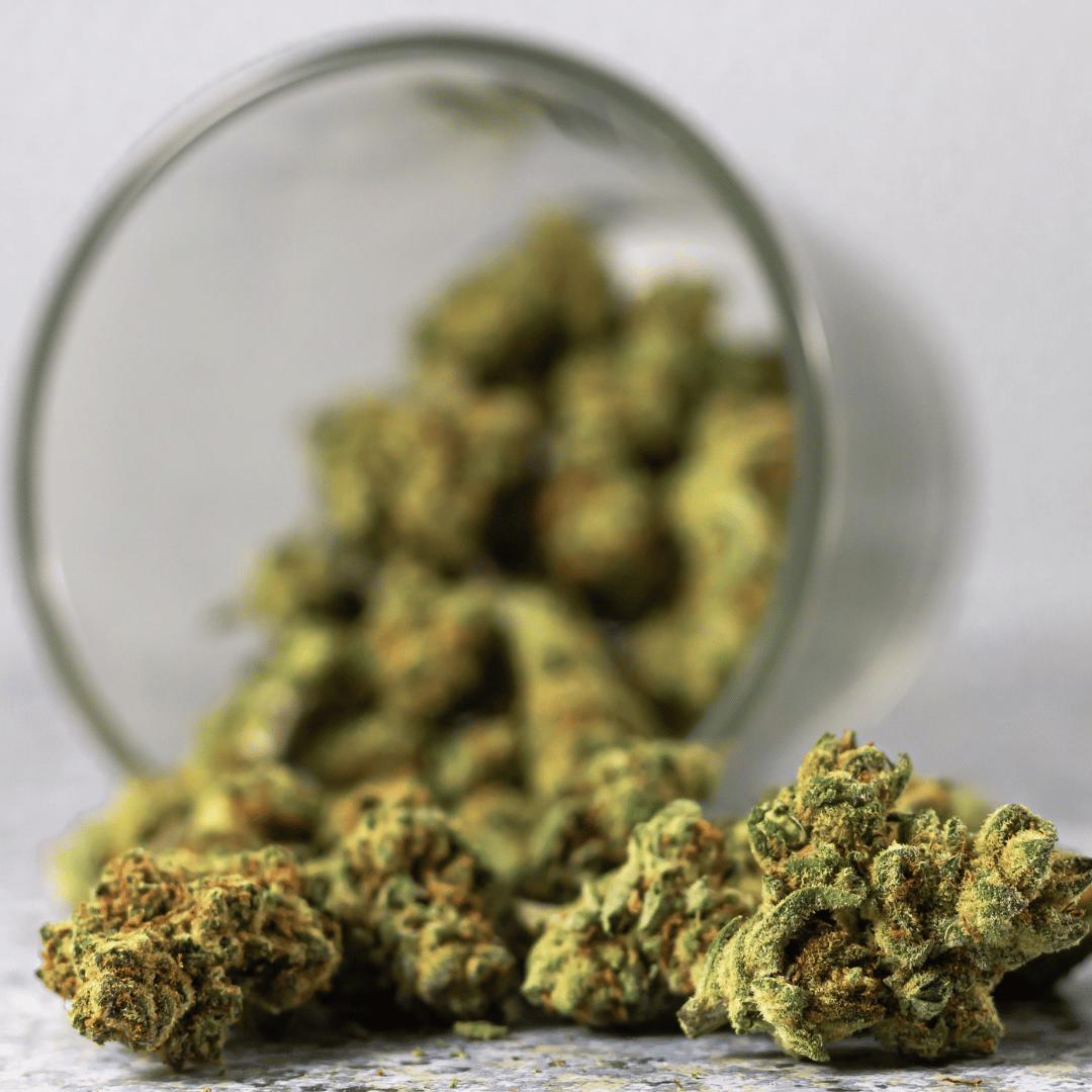 indica-sativa-hybrid